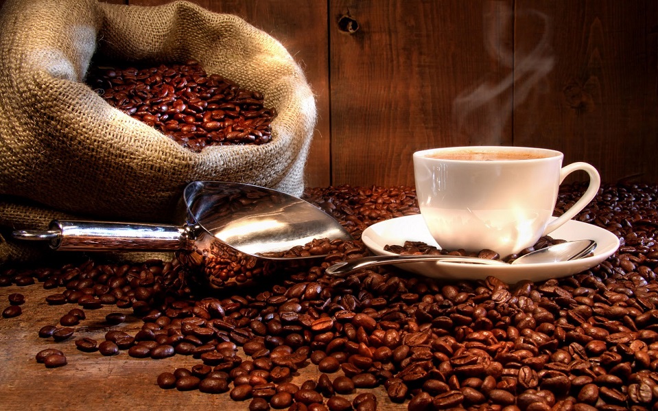Entdecken Sie die Welt der Kaffeekunst mit unserer fachkundigen Beratung!